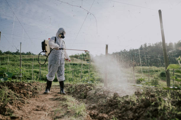 Best Pest Control Cost  in Alamogordo, NM