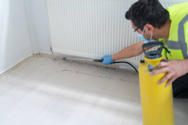 Pest Control Cost in Alamogordo, NM